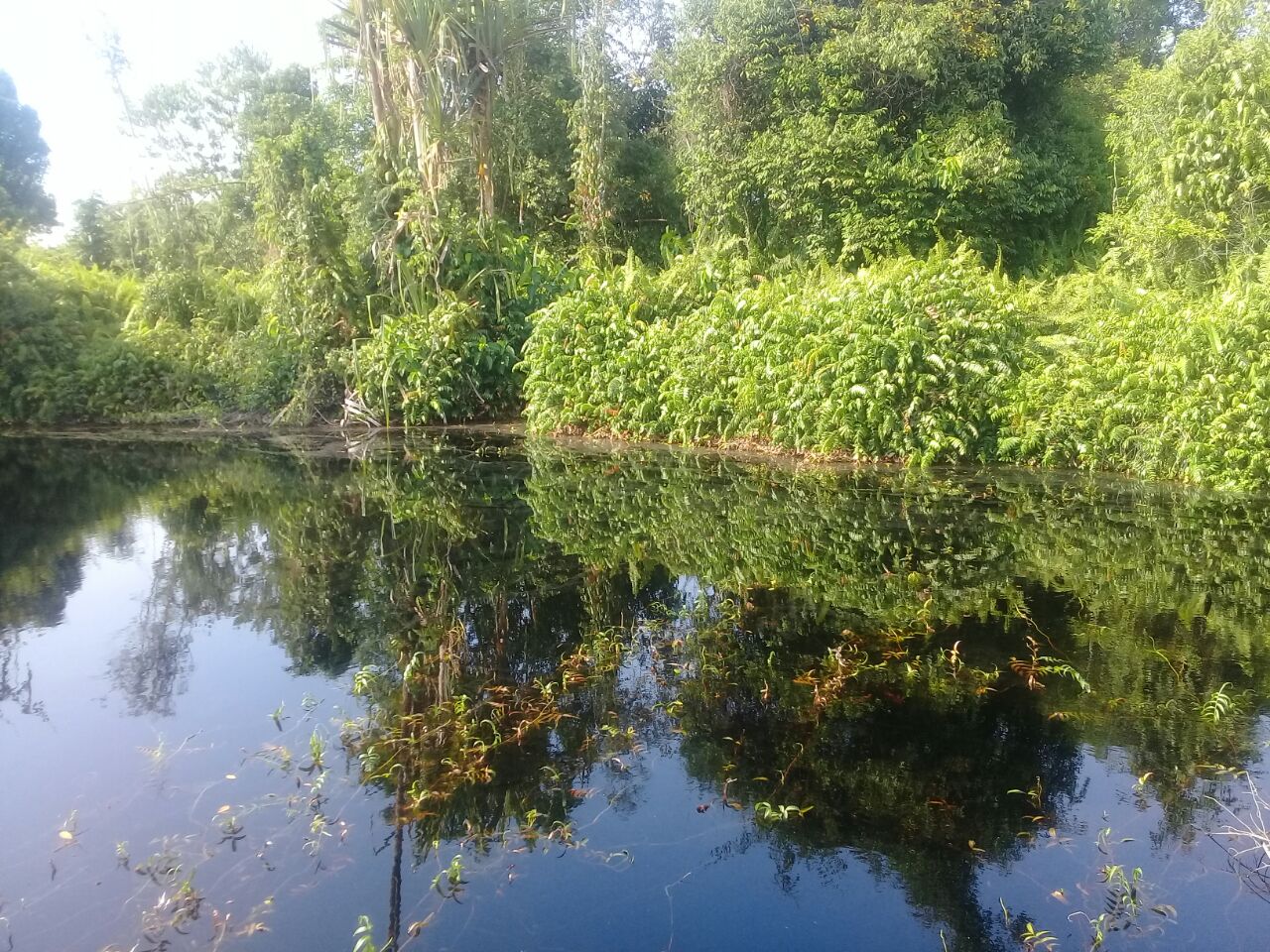 Wisata Alam Tasik yang Indah di Desa Segamai, Riau Disebut