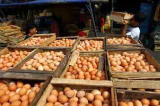DPP Pekanbaru: Harga Telur Ayam  Naik