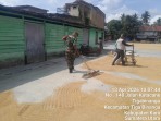 Menjaga Kualitas Hasil Panen, Babinsa Koramil 08/TB Bantu Petani Jemur Padi