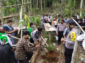 Polres Karo, Koswari dan Walantara Gelar Penanaman Seribu Pohon di Hutan Lindung Siosar