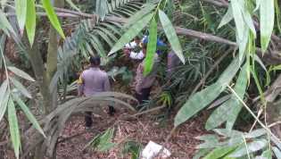 Hari Kedua Pencarian Korban Di Sungai Lau Biang Langsung Dipantau Kapolres Karo AKBP Ronny Nicolas bersama Personil