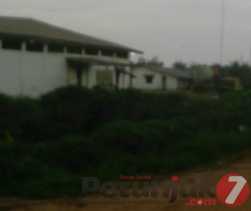 Investigasi: Jejak Bocah Putus Sekolah di PT.SDA Afdeling II Sungai Pakning