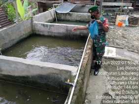 Untuk Meningkatkan Ketahanan Pangan, Babinsa Koramil 09/LB Kembangkan Budidaya Ikan Nila dan Lele
