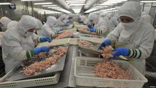 Konsumen AS Tuntut Sertifikasi Makanan Laut