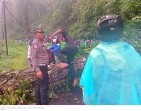 Jalur Medan - Berastagi Di Bentangi Pohon Tumbang, Satlantas Polres Karo Gerak Cepat Dan Arus Lalu Lintas Kembali Normal
