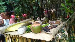 Warga Durian Lingga (Langkat) Mengadakan Ritual Nini Gedang Untuk Cegah Covid 19