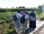 Sambut Kedatangan Siswa Setiap Pagi, Guru SMA N 1 Simpang Empat Ciptakan Suasana Sekolah yang Hangat dan Disiplin