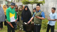 Generasi Muda Al Haura Kabupaten Karo Serahkan Satu Ekor Domba Kepada Kepala UPTD PS Wanita Tuna Susila & Tuna Laras Berastagi
