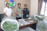 Satresnarkoba Polres Karo Komitmen Perang Terhadap Peredaran Narkotika, 26 Kasus Berahasil Diungkap Selama Bulan Mei
