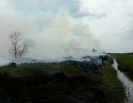 BMKG Pekanbaru: 4 Hotspot Kembali Terdeteksi di Riau