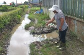 Warga Rajapayung Resah Terkait Pembuangan Limbah, Camat Merdeka Langsung Tanggap, Pengusaha: Besok Saya Bangun Sumur Resapan