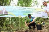 Antisipasi Perubahan Iklim Dan Kurangnya Pasokan Air Bersih, Dirut Perumda Tirtanadi Canangkan Penghijauan Di Mata Air Lau Melas