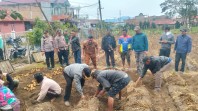 BUMDes Sempa Arih Desa Sempajaya Sukses Kembangkan Kentang, Raup Untung Puluhan Juta dari Program Ketahanan Pangan