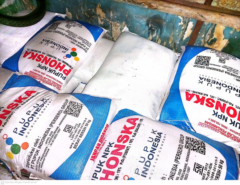 Akibat Permasalahan Pabrik Di Aceh, Penyaluran Pupuk Bersubsidi Jenis Urea Tersendat Ke Kab Karo, Kadis: Tanggal 24 Pengiriman Sudah Mulai