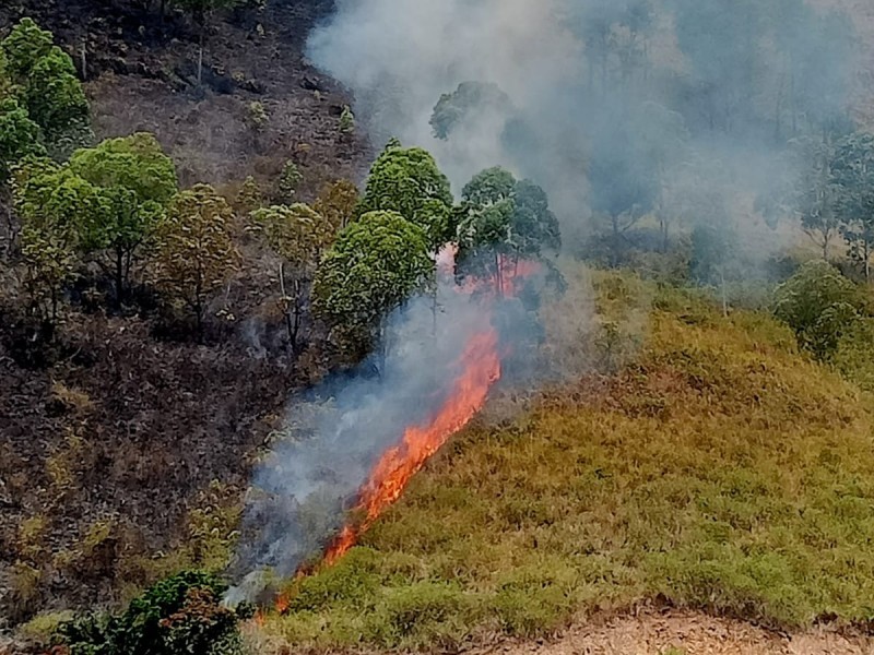 Gerak Cepat Babinsa Koramil 02/TP Dan Polsek Tigapanah Bantu Padamkan Kebakaran Hutan Tongging Gerak Cepat Babinsa Koramil 02/TP Dan Polsek Tigapanah Bantu Padamkan Kebakaran Hutan Tongging