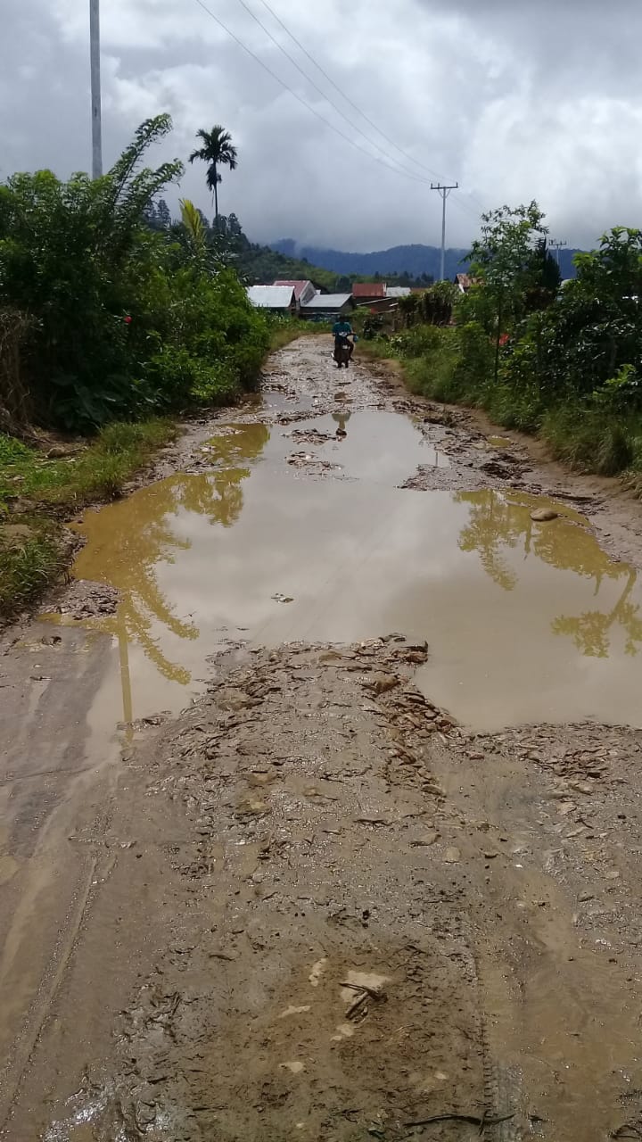 Begini Kondisi Jalan di Desa Kuta Pengkih Rusak Parah Belum Aspal, Kades: Diusulkan Setiap Tahun