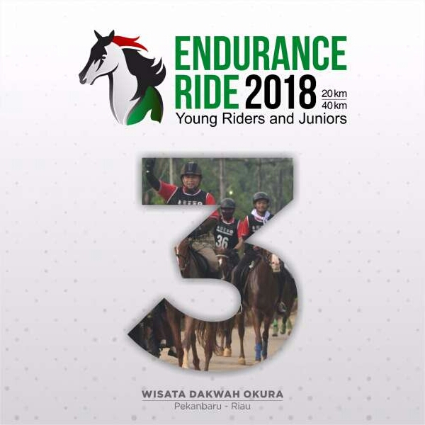 Sekdako Pekanbaru: Lomba Berkuda Endurance Ride Walikota Cup III Akan Digelar di Okura
