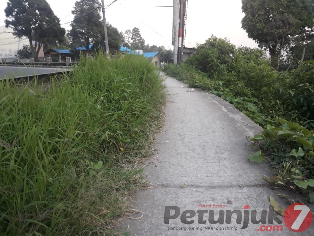 Potret Semak Belukar  di Sepanjang Trotoar Jalan Jamin Ginting (Berastagi) dan...