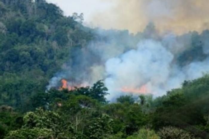 BMKG Pekanbaru: 7 Titik Panas dan 5 Titik Api Terpantau di Riau