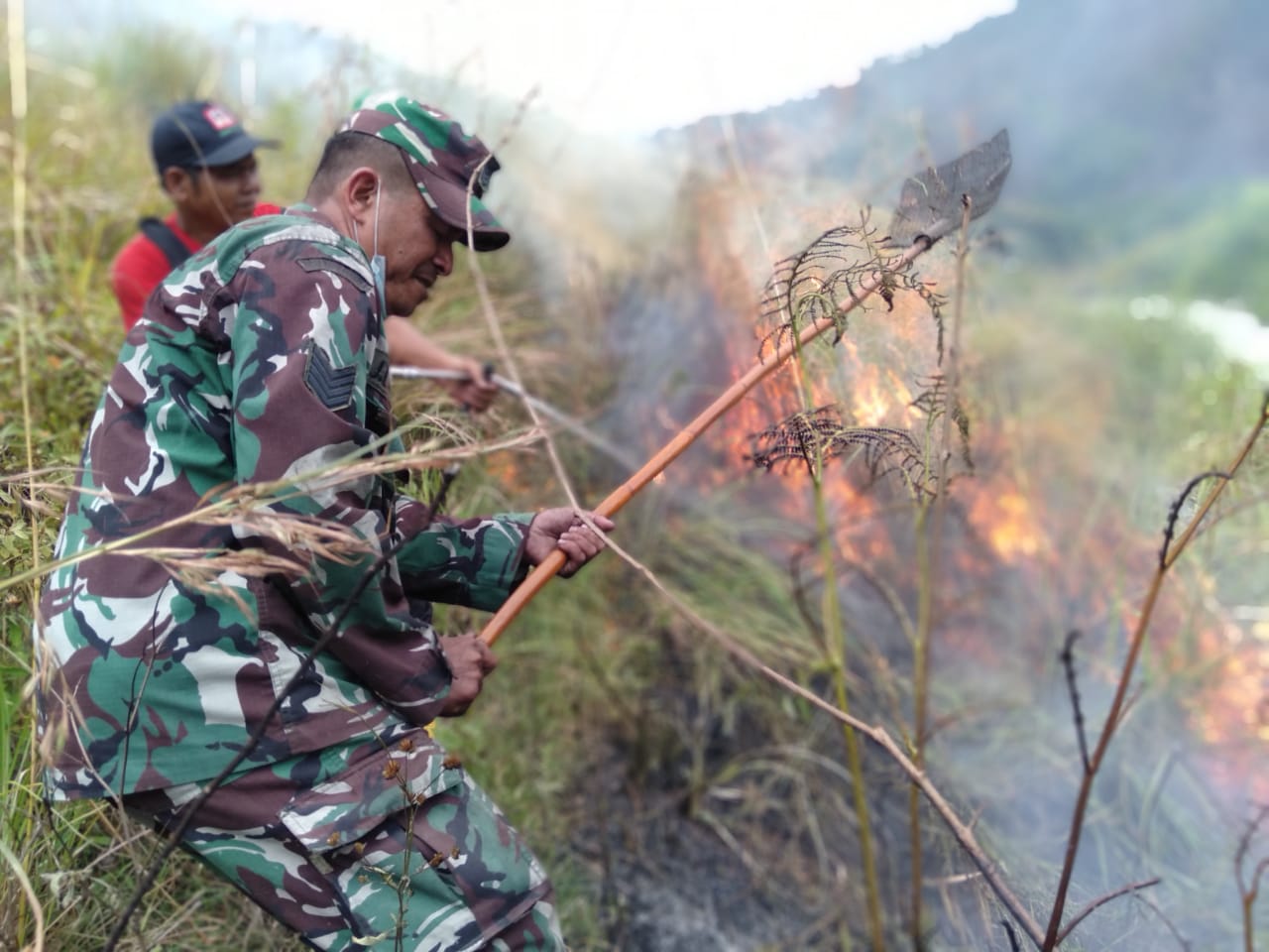 Cegah Karhutla Meluas, Babinsa Koramil 02/TP Bantu Padamkan Api di Hutan Tongging