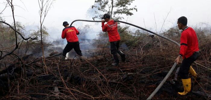 Tim Pemadam Kebakaran Berjibaku Padamkan Api di Indragiri Hilir