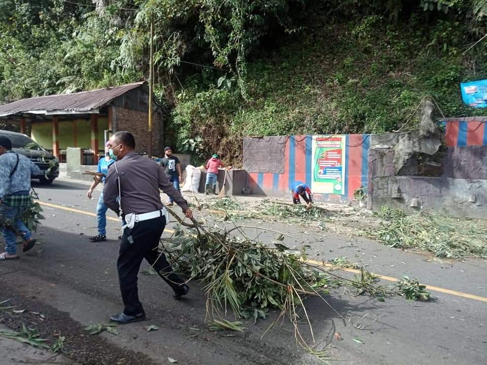 Pohon Tumbang Akibat Diterjang Angin, Arus Lalu Lintas di Jalan Jamin Ginting Sudah Kembali Normal