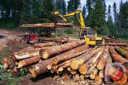 Delapan Ton kayu Diduga Ilegal Berhasil Diamankan Polres Dumai