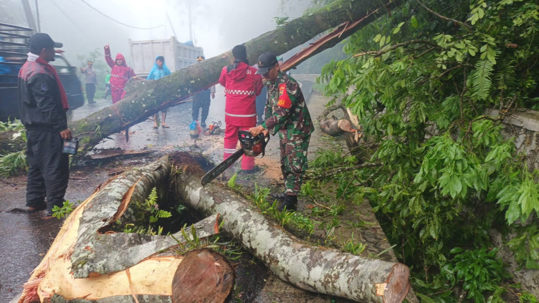 Aksi Gerak Cepat Babinsa Koramil 03/BT Bersihkan Pohon Tumbang Melintang Di Jalan Jamin Ginting Aksi Gerak Cepat Babinsa Koramil 03/BT Bersihkan Pohon Tumbang Melintang Di Jalan Jamin Ginting