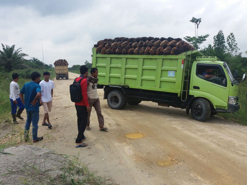Aksi APMP-KTM di Jalan Lintas Bono: Mobil Angkut Sawit Milik Johan Disuruh Putar Arah