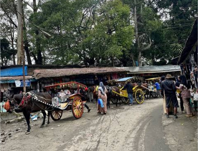 Libur Nataru, Pengunjung Objek Wisata Ke Berastagi Ada Penurunan, Pelaku Wisata, Benahi Dulu Puncak Gundaling Itu