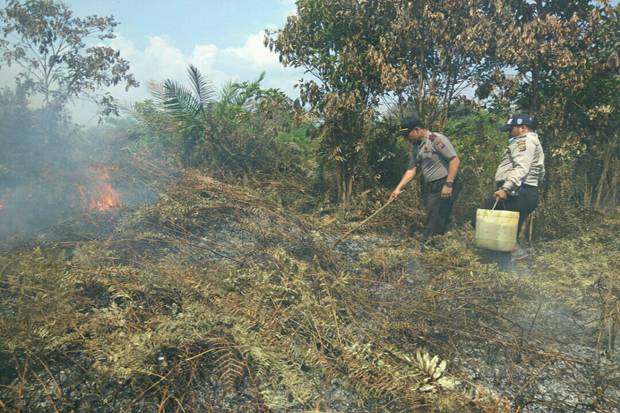 Kebakaran Lahan di Inhil Capai Puluhan Hektare