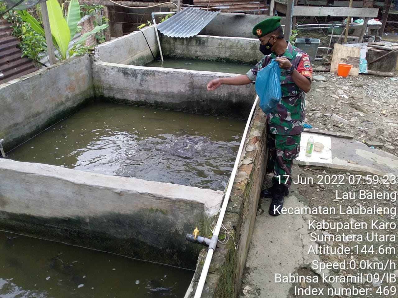 Untuk Meningkatkan Ketahanan Pangan, Babinsa Koramil 09/LB Kembangkan Budidaya Ikan Nila dan Lele