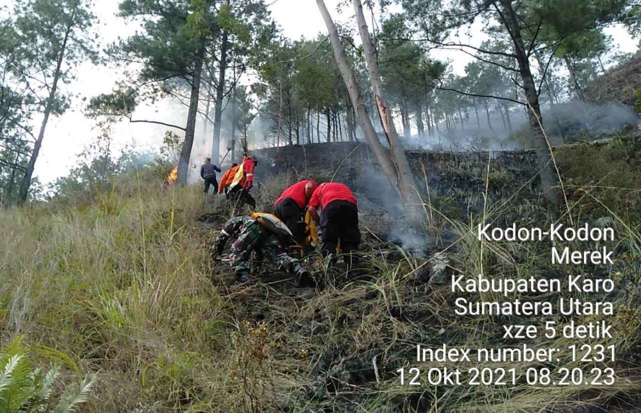 Babinsa Koramil 02/TP Padamkan Kebakaran Hutan Di Desa Sikodonkodon 