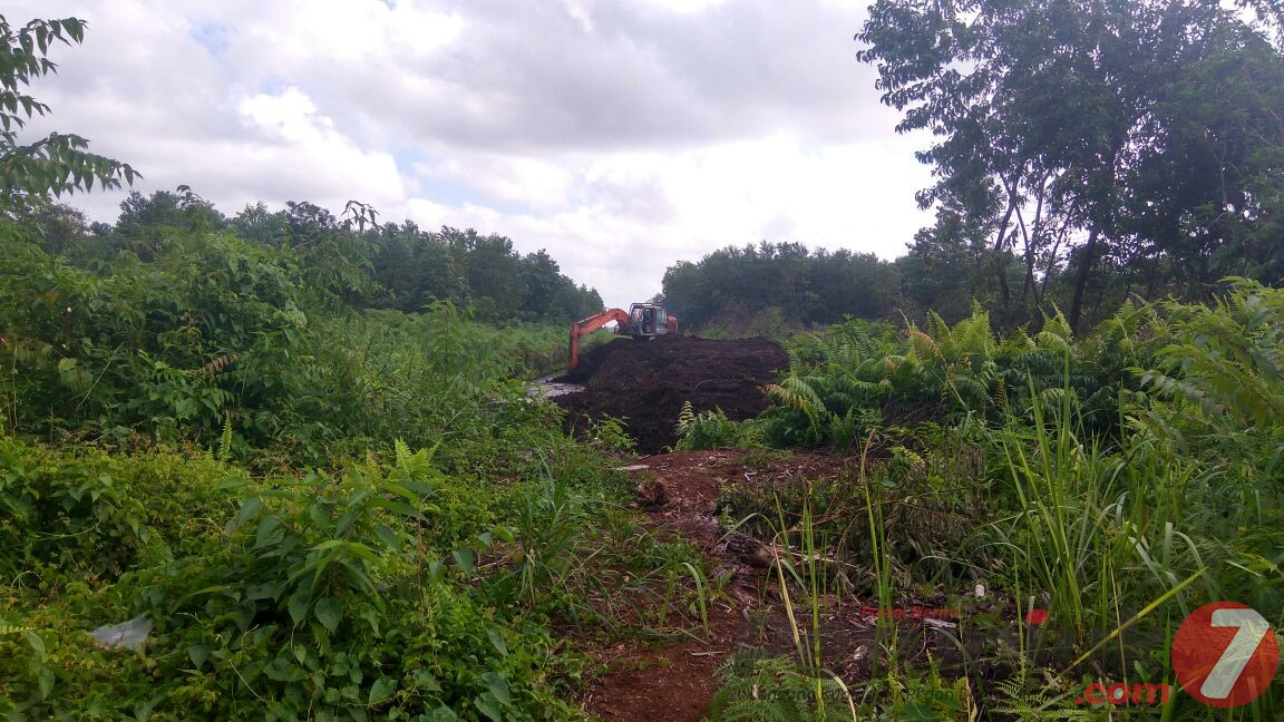 IPM-S Menyayangkan Lebih Kurang 500 Hektare Lahan di Desa Segamai Terjual...