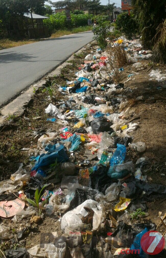 Warga Terganggu Ada Sampah Berserakan  di Jalan Seroja
