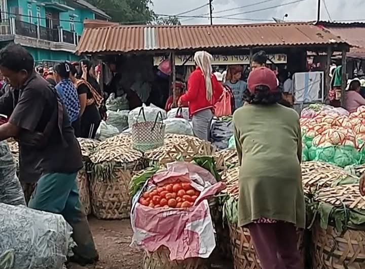 Petani Karo Mendesak Gubernur Sumatera Utara Supaya Menghentikan Impor Sayur Mayur Dari Luar Sumut