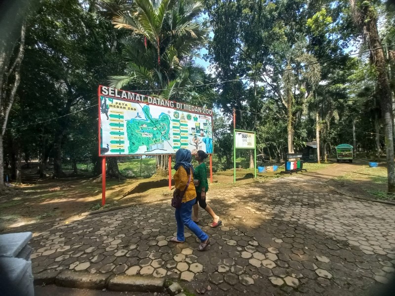 Medan Zoo Masih Butuh Perbaikan, Pengunjung : Masih Kuranglah, Dirut PUD Adrian Surbakti: Saya Upayakan Tamu Puas Berkunjung Ke Medan Zoo