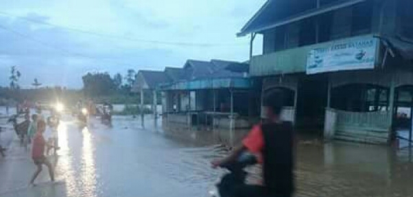 Sungai Batang Batahan Meluap, Puluhan Rumah Direndam Banjir di Pasaman Barat