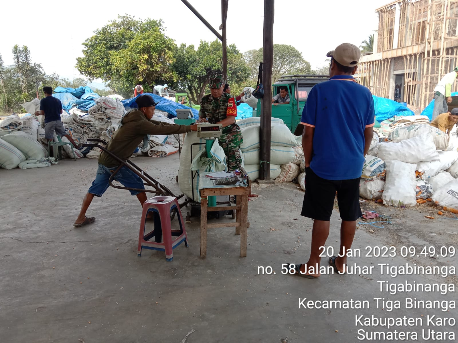 Untuk Meningkatkan Ketahanan Pangan, Dandim 0205/TK Perintahkan Babinsa Jajarannya Dampingi Petani