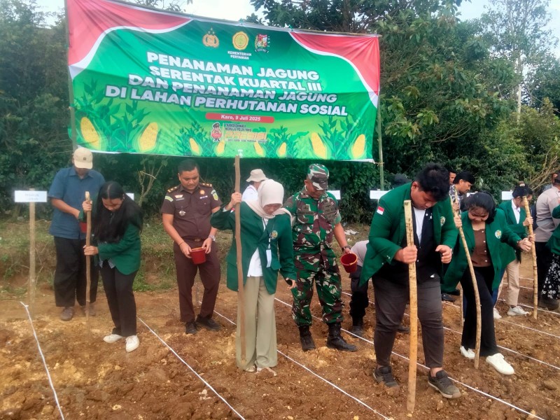 Jajaran Koramil Kodim 0205/TK dan Polres Tanah Karo Tanam Jagung Serentak Dukung Ketahanan Pangan Nasional