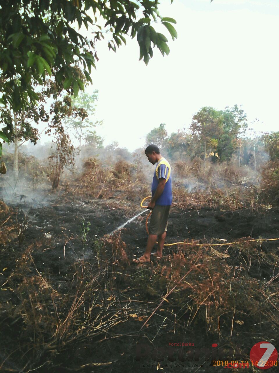 Ratusan Hektare Kebun Masyarat Desa Mutiara Gambut dan Segamai Ludes Terbakar
