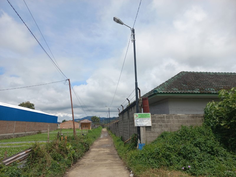 Gunakan Dana Desa 61 Juta, Pemerintah Desa Semangat Kec Merdeka Pasang Penerangan Jalan Di 9 Titik