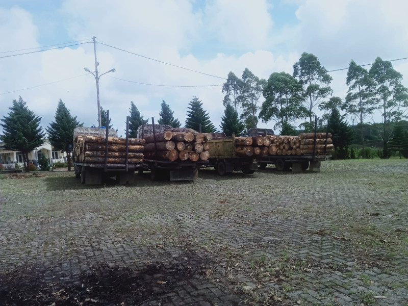 Sangkin Kesalnya Terhadap Mobil Pengakut Kayu Yang Tidak Mematuhi Peraturan Lalu lintas, Warga Pengungsi Gunung Sinabung Tahan 4 Unit Armada