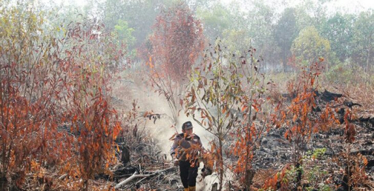 BMKG Pekanbaru: 29 Titik Panas Menyebar di Riau, Ini Wilayahnya