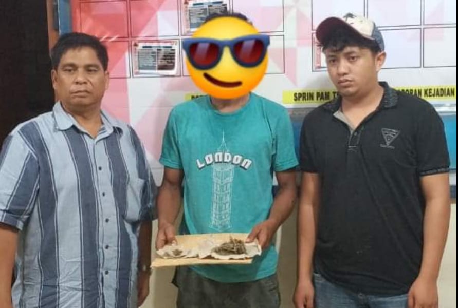 Polsek Mardingding Tangkap Seorang Petani di Dusun Air Emas Terkait Ganja
