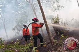 Kebakaran Lahan di Bagan Sinembah, Satgas Berupaya Padamkan Api