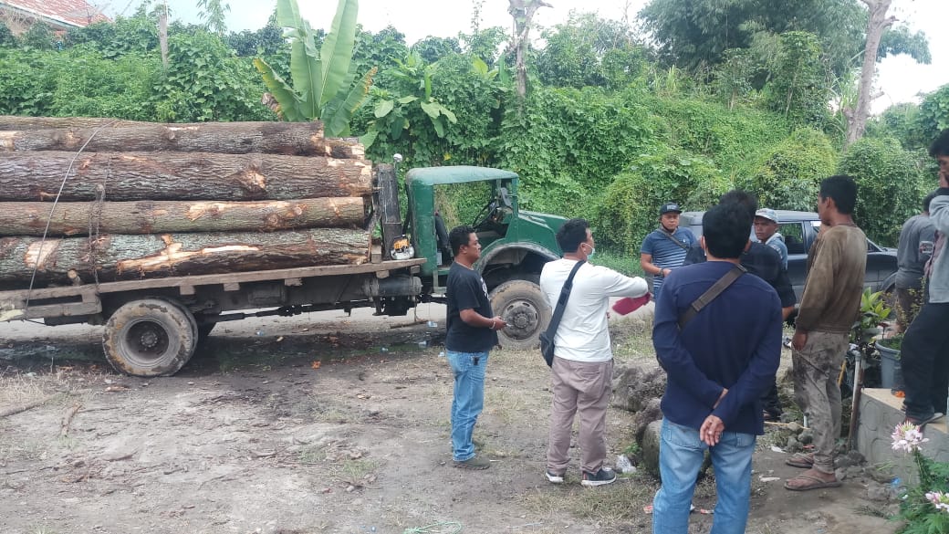 Polres Karo Amankan 1 Unit Truk Kingkong Muat Kayu Pinus yang  Diduga Ilegal di Desa Ajijulu
