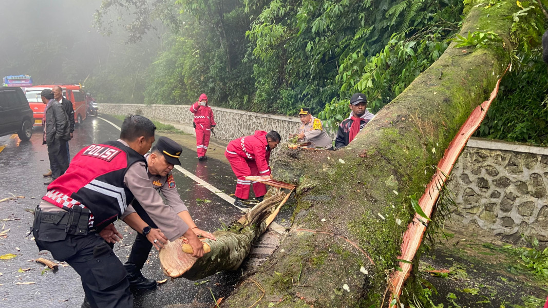 Kayu Tumbang Melintang Di Jalan, Kapolres Tanah Karo AKBP Eko Yulianto Kerahkan Personel