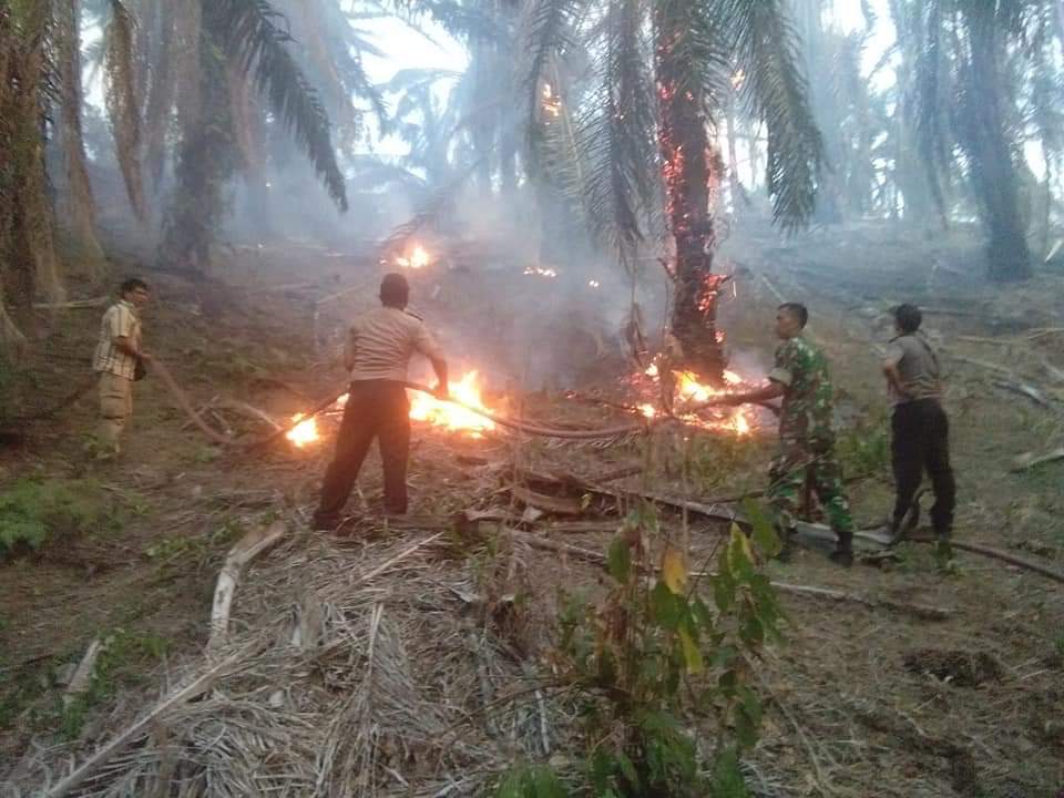 Karhutla, TNI - POLRI Berjibaku Padamkan Api di Desa Lau Mulgap (Mardingding)