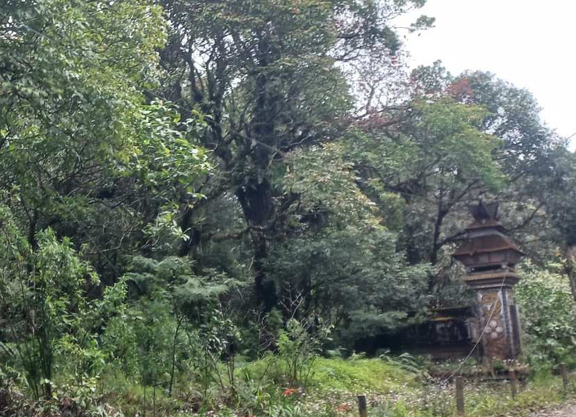 Gapura Perbatasan Kab Karo dan Kab Dairi Ditumbuhi Semak Blukar, Camat Merek: Tidak Ada Anggaran